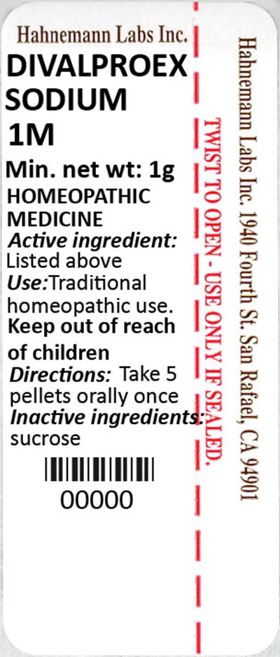 Divalproex Sodium 1M 1g.jpg Divalproex Sodium 1M 1g - Divalproex Sodium 1M 1g